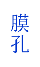 膜孔